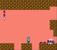 une photo d'Ã©cran de Super Mario Bros 2 sur Nintendo Nes